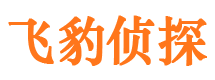 和政市调查公司